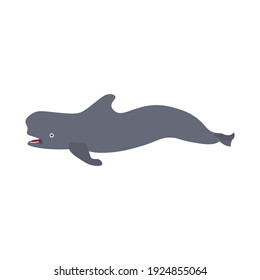 pilot whale icon on white background
