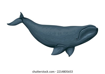 pilot whale sealife animal icon