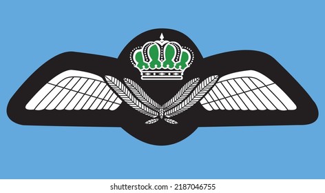 Pilot Wings Badge Vector Wings