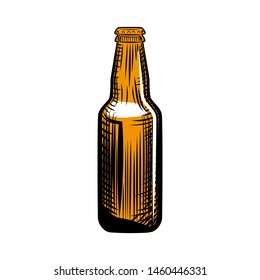 Pilsner beer bottle. Engraving style. Hand drawn vector illustration isolated on white background.