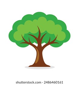 Pin Cherry, Prunus pensylvanica tree Nature flat vector illustration on white background.