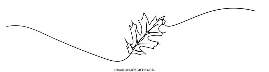 Pin oak tree leaf one line art. Continuous line drawing of pin oak tree leaf. Hand drawn fall season leaf pin oak.