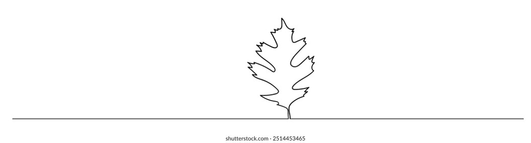 Pin oak tree leaf one line art. Continuous line drawing of pin oak tree leaf. Hand drawn fall season leaf pin oak.