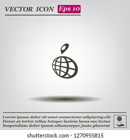 pin on globe icon