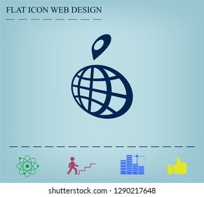 pin on globe icon