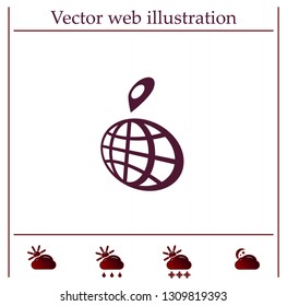 pin on globe icon
