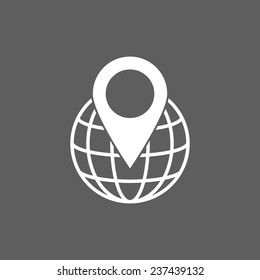 pin on globe icon