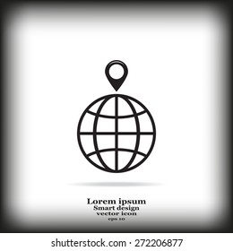 pin on globe icon