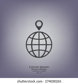 pin on globe icon