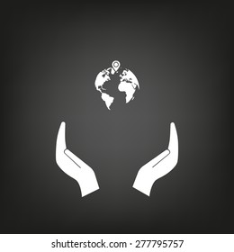 pin on globe icon