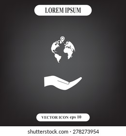 pin on globe icon