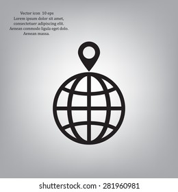 pin on globe icon