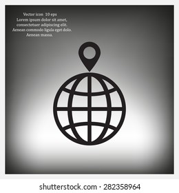 pin on globe icon