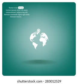 pin on globe icon