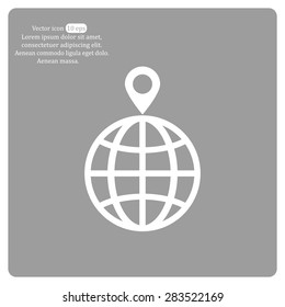 pin on globe icon