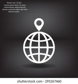 pin on globe icon