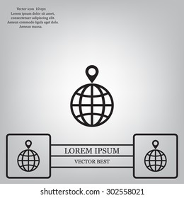 pin on globe icon
