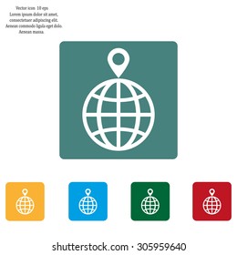pin on globe icon