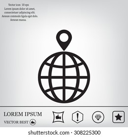 pin on globe icon