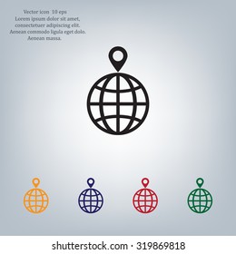 pin on globe icon