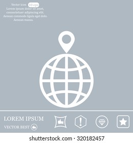 pin on globe icon