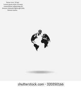 pin on globe icon