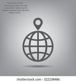 pin on globe icon
