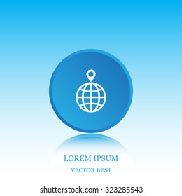 pin on globe icon