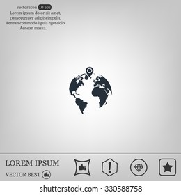pin on globe icon