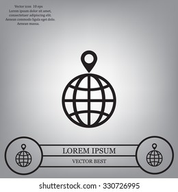 pin on globe icon