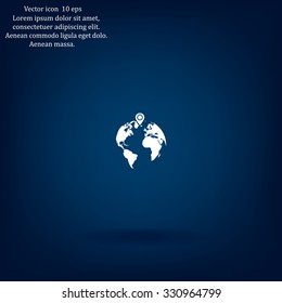 pin on globe icon