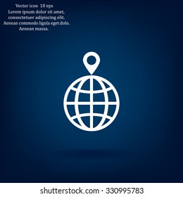 pin on globe icon