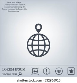 pin on globe icon