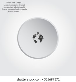 pin on globe icon