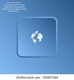 pin on globe icon