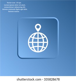 pin on globe icon