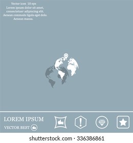pin on globe icon