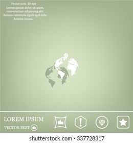 pin on globe icon