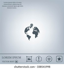 pin on globe icon
