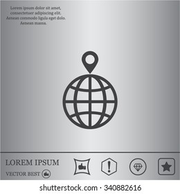 pin on globe icon