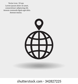 pin on globe icon