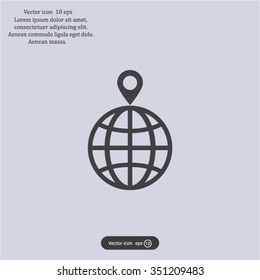 pin on globe icon