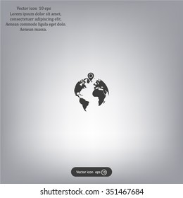 pin on globe icon