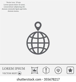 pin on globe icon