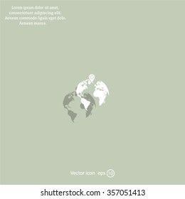 pin on globe icon