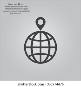pin on globe icon
