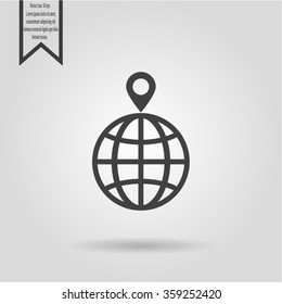 pin on globe icon