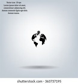 pin on globe icon