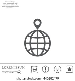 pin on globe icon
