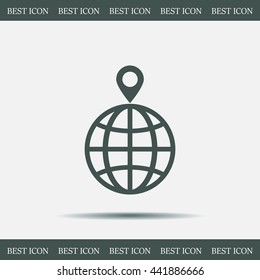 pin on globe icon